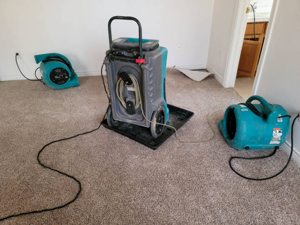 Best Mold removal after water damage  in Miami, OK