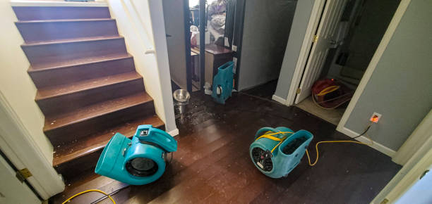 Best Carpet water damage restoration  in Miami, OK