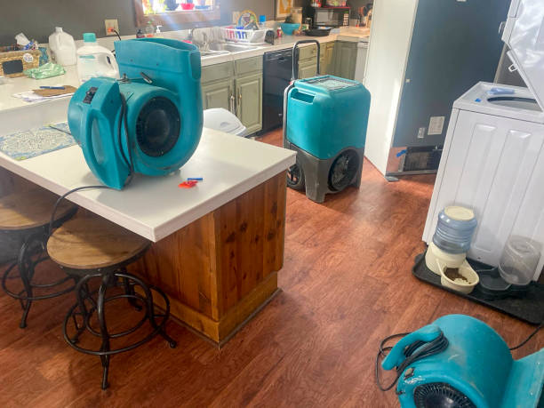 Best Water damage mitigation services  in Miami, OK
