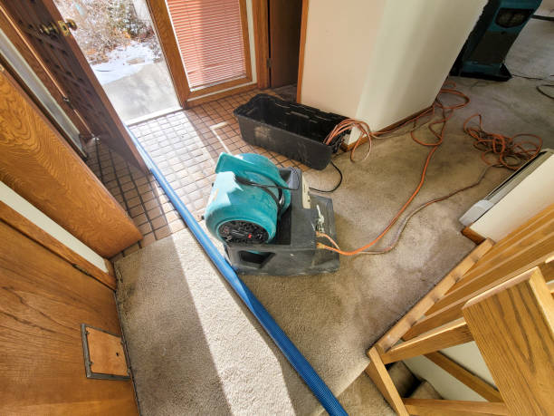 Reliable OK Water damage restoration Solutions