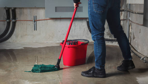 Best Fire Damage Restoration  in Miami, OK
